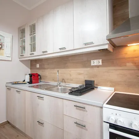 Camelia * Thessalonique